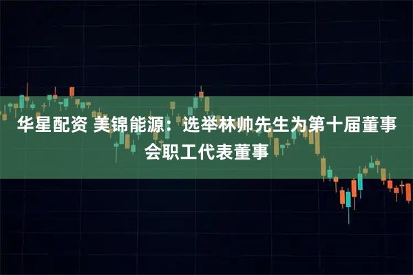 华星配资 美锦能源：选举林帅先生为第十届董事会职工代表董事