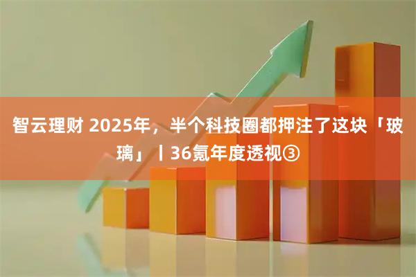 智云理财 2025年，半个科技圈都押注了这块「玻璃」丨36氪年度透视③
