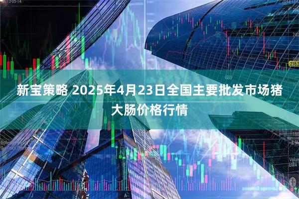 新宝策略 2025年4月23日全国主要批发市场猪大肠价格行情