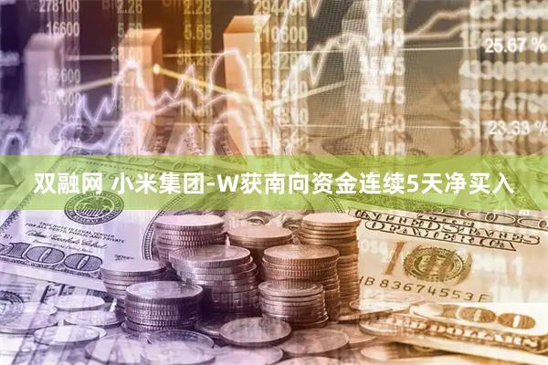 双融网 小米集团-W获南向资金连续5天净买入